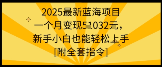 2025最新蓝海项目一个月变现1w+新手小白也能轻松上手【附全套指令】-qingclm