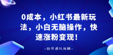 0成本，小红书最新玩法，小白无脑操作，快速涨粉变现-qingclm