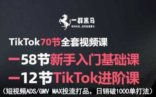 TikTok全套视频课，新手入门+进阶课，短视频ADS-GMV MAX投流打品，日销破1000单打法-qingclm
