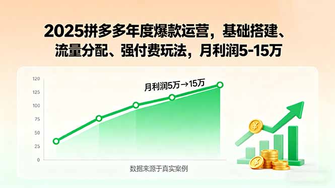2025拼多多年度爆款运营，基础搭建、流量分配、强付费玩法，月利润5-15万-qingclm