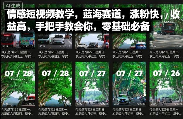 情感短视频教学，蓝海赛道，涨粉快，收益高，手把手教会你，零基础必备-qingclm